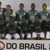 Palmeiras a castigat Cupa Braziliei